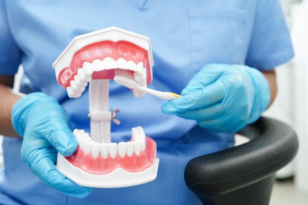 dentist demonstrates tooth brushing